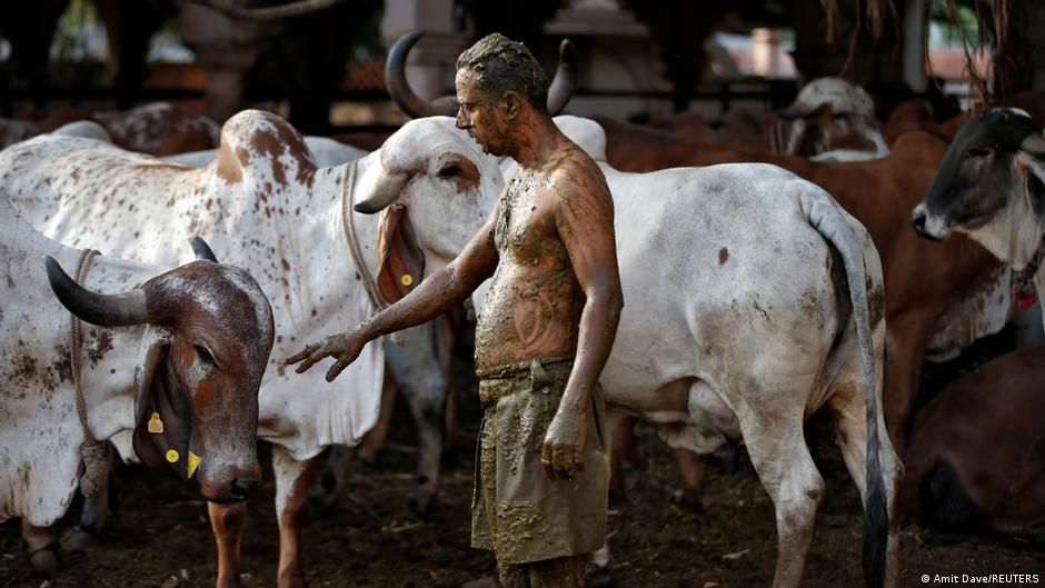 दिल्ली: गौ हत्या के संदेह पर पीट पीट कर मार डाला