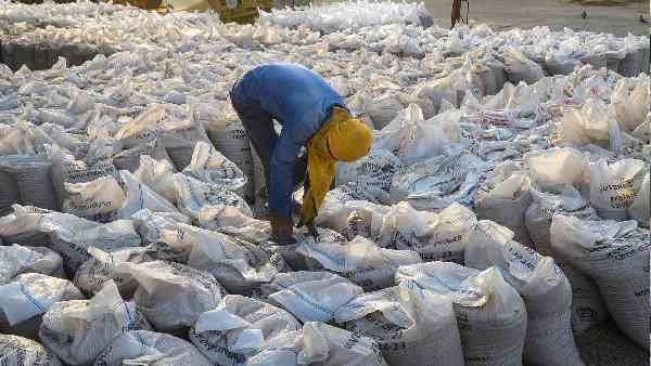 Wheat Export: बैन के बावजूद दोगुने से अधिक हुआ गेहूं निर्यात, 1,487 मिलियन डॉलर तक पहुंचा