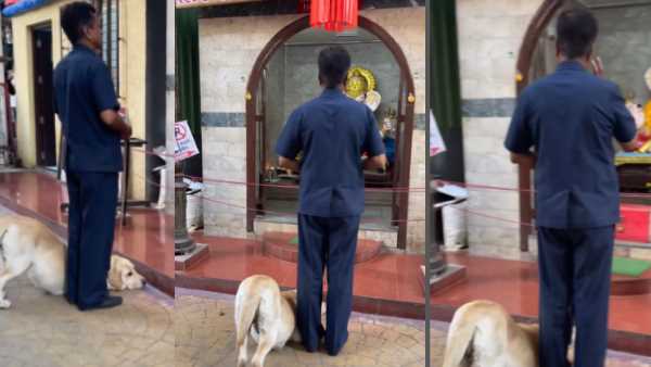 श्रद्धा से भगवान गणेश की मूर्ति के आगे कुछ यूं झुका कुत्ता, Video ने जीता लोगों का दिल