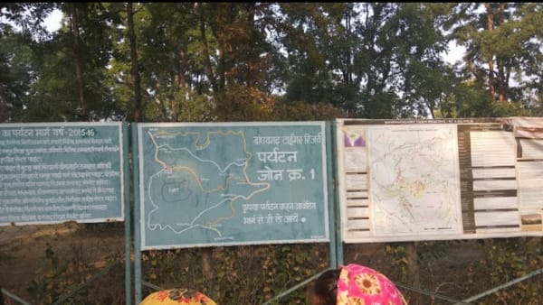 Bandhavgarh : बांधवगढ़ टाइगर रिजर्व क्षेत्र से विस्थापित होगा गढ़पुरी गांव, 312 परिवारों का होगा पुनर्वास