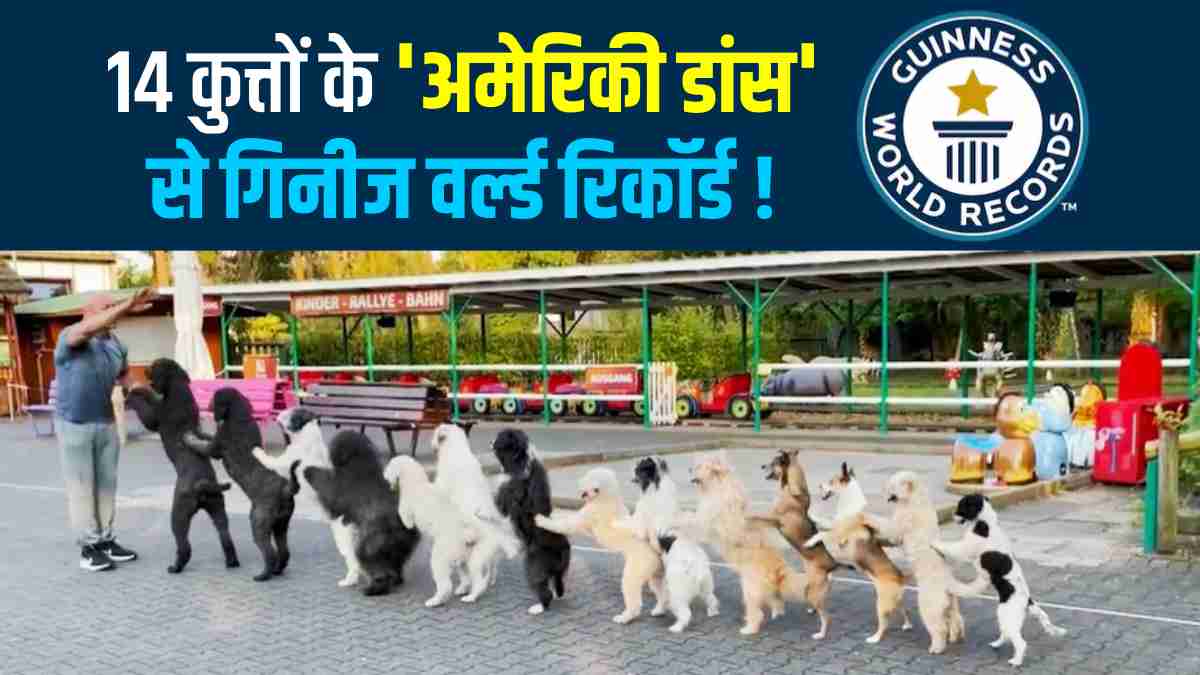 Guinness Record : बेटी ने पिता को किया प्रेरित, कोंगा  की ट्रेनिंग के बाद 14 कुत्तों ने दिलाई कामयाबी, VIDEO