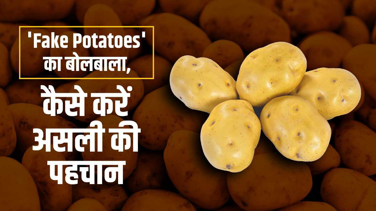 आलू को लेकर हो रहा बड़ा घोटाला, बाजारों में है 'Fake Potatoes' का बोलबाला,जानें कैसे करें असली की पहचान