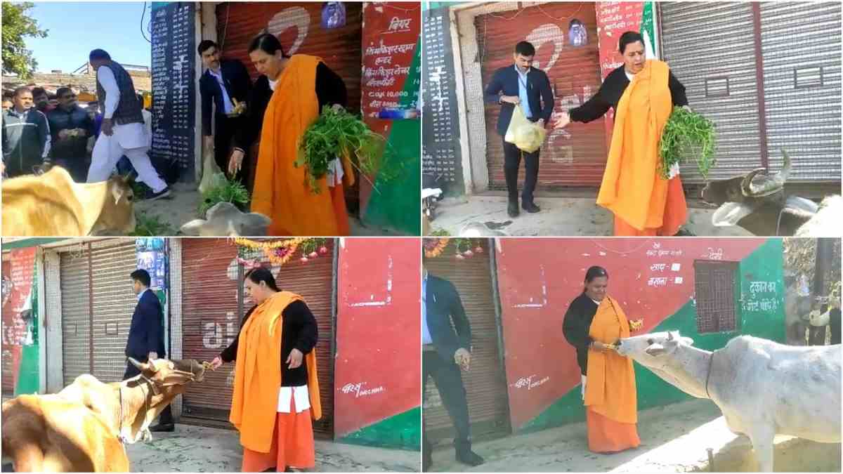 Orchha : उमा भारती का 'मधुशाला में गोशाला' अभियान शुरू, शराब दुकान के सामने बांधी गायें
