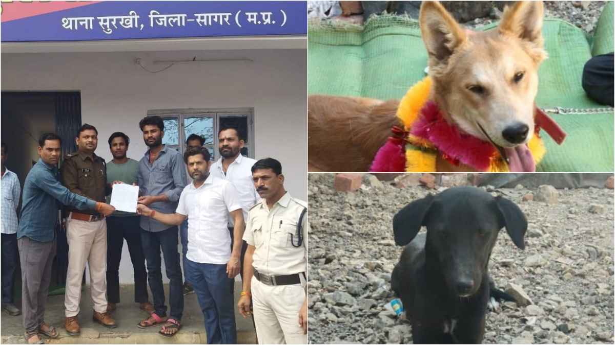 अजब-गजब: कुत्ते-कुतिया की शादी में भी 'लव-जिहाद', संगठनों के विरोध के बाद शादी कैंसिल