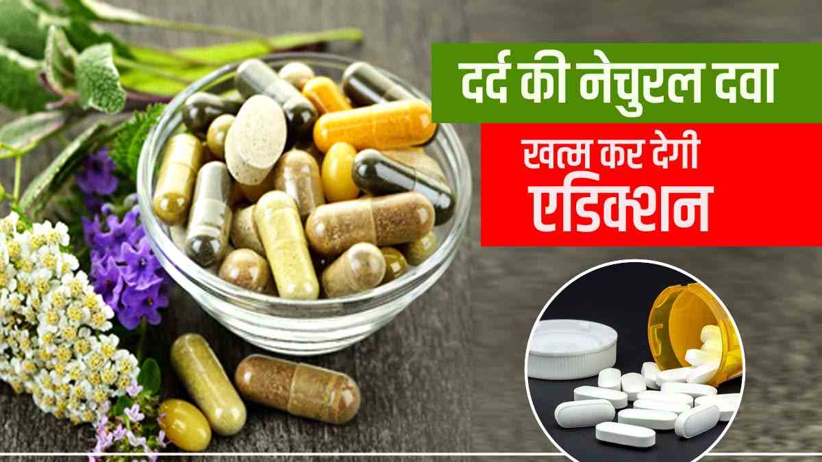 Opioids Research: पेन किलर नहीं अब नेचुरल तरीके से दूर होगा दर्द, Peptides कैसे अदा करेंगे अहम रोल?