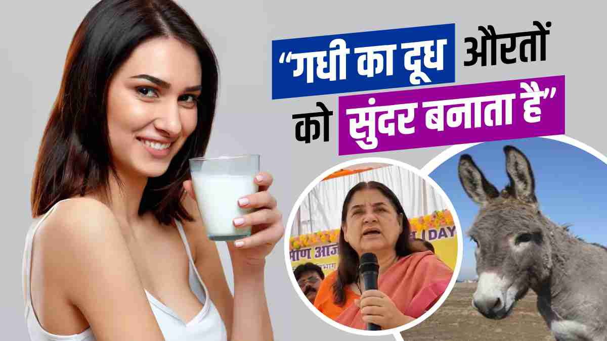 मेनका गांधी बोलीं- औरतों को सुंदर बनाता है गधी का दूध, जानें डंकी मिल्क के होश उड़ाने वाले बेनिफिट्स