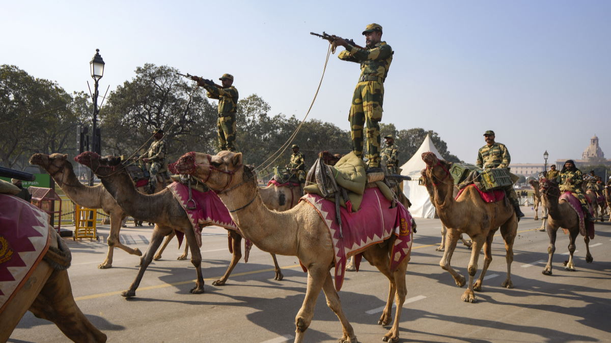 World Camel Day: 22 जून को राष्ट्रीय ऊंट दिवस, जानें रेगिस्तान का जहाज आज क्यों संकट में है?