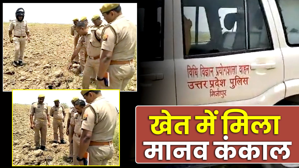 UP: खेत में मिला मानव कंकाल, कई हिस्सों को खा गए थे कुत्ते और जंगली जानवर, नहीं हो सकी शिनाख्त
