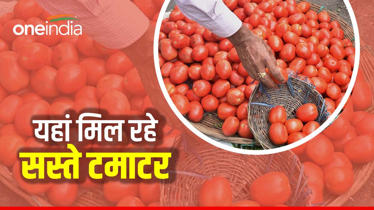 UP के इस जिले में 12 रुपये तो गुजरात के शहर में 15 रुपये किलो बिक रहा टमाटर, फिर आपके यहां क्यों है महंगा
