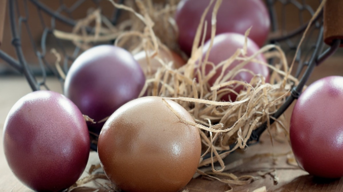 'अंडा' चुराने पर शख्स को सुनाई डेढ़ साल की सजा, जानें क्या बोले जज?