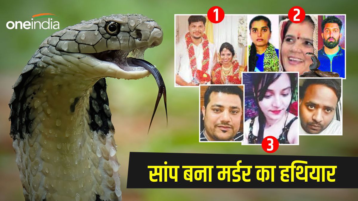 देश के तीन बड़े मामले, जब सांप बना मर्डर का हथियार, किसी ने सास तो किसी ने पत्नी को रास्ते से हटाया