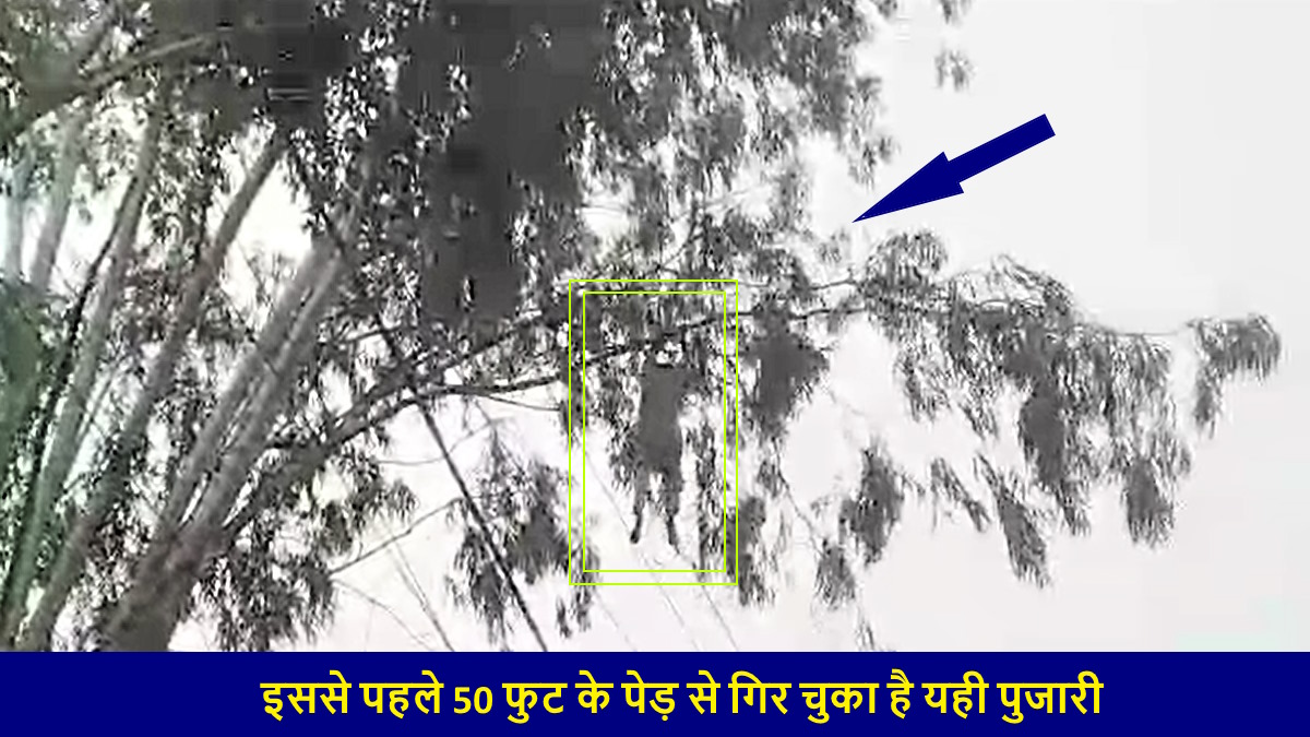 Meerut Viral Video: दिव्य शक्तियां दिखाने 30 फीट ऊंचे पेड़ पर चढ़ा पुजारी, डाल पकड़ते ही हो गया कांड