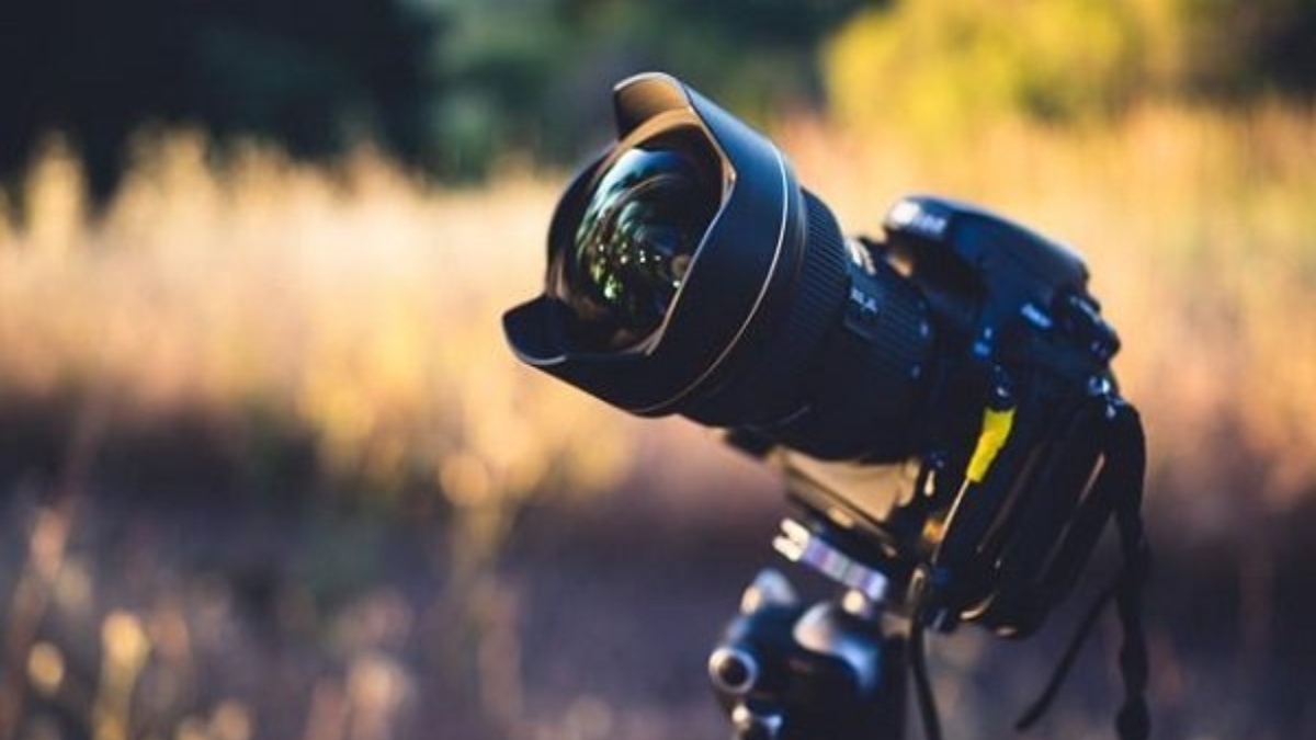 Photography Week: कब ली गयी थी पहली फोटो, जानें विश्व इतिहास में फोटोग्राफी का महत्व