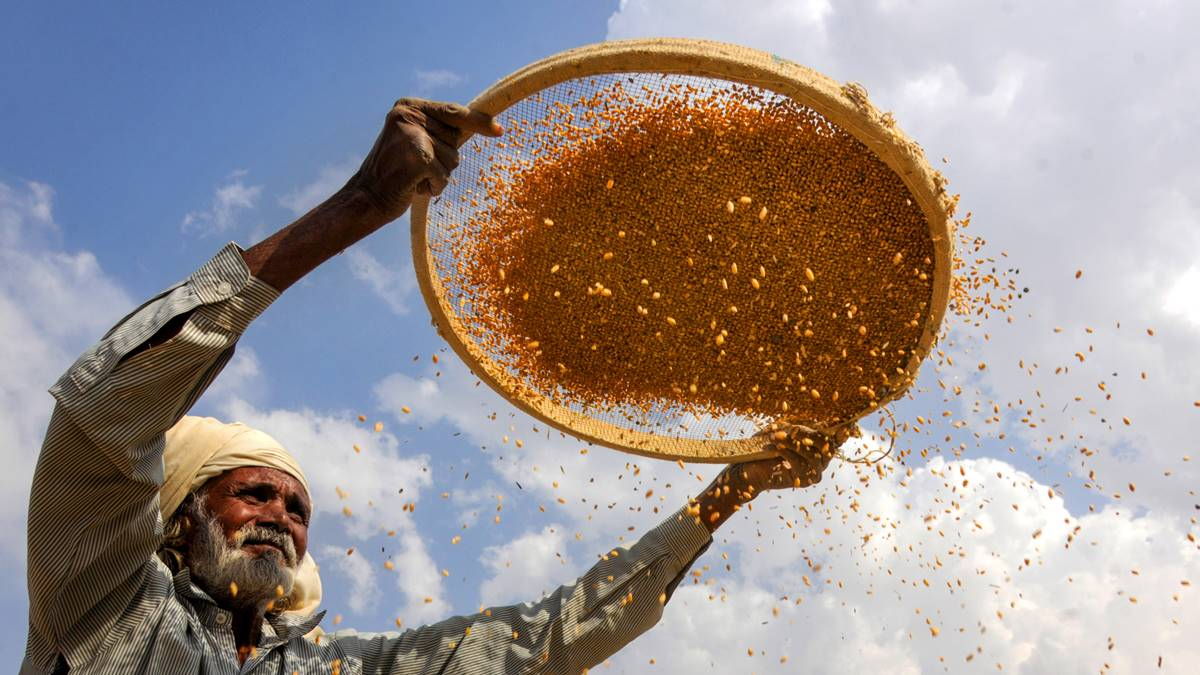 विश्‍व की सबसे बड़ी अन्‍न भंडारण योजना का संचालन करने के लिए ओडिशा ने बैसिंगा में LAMPS की पहचान की