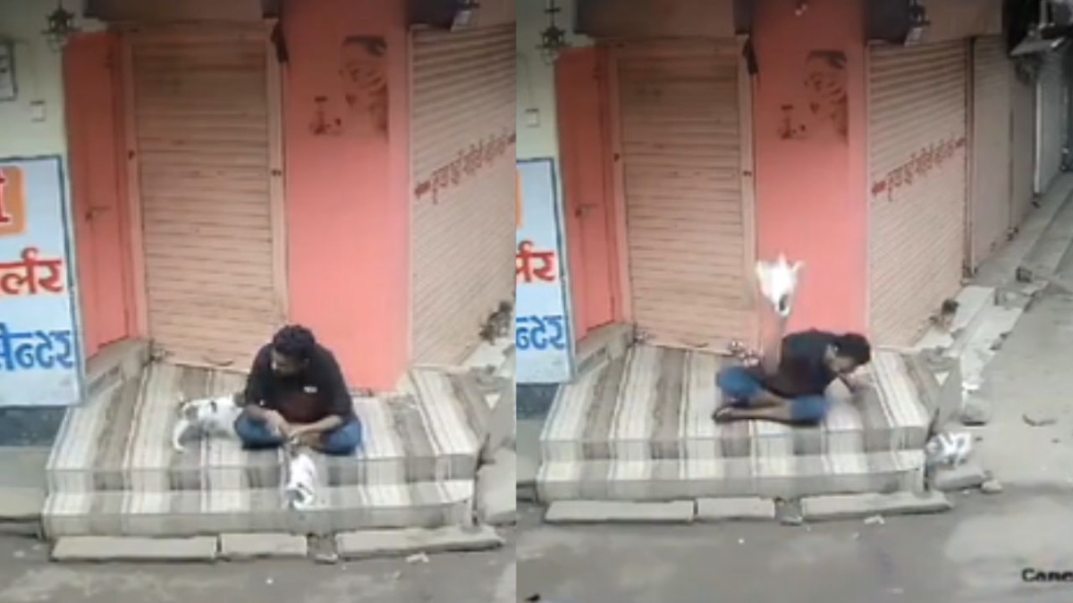 गुना में कुत्ते के बच्चे के साथ क्रूरता, सिंधिया ने की न्याय की मांग, जानिए क्या था शिवराज का रिएक्शन