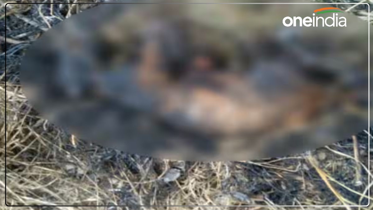 UP News: कानपुर में बच्चों ने चार पिल्लों को जिंदा जलाया, घटना देख सहम गए लोग, पुलिस में शिकायत दर्ज