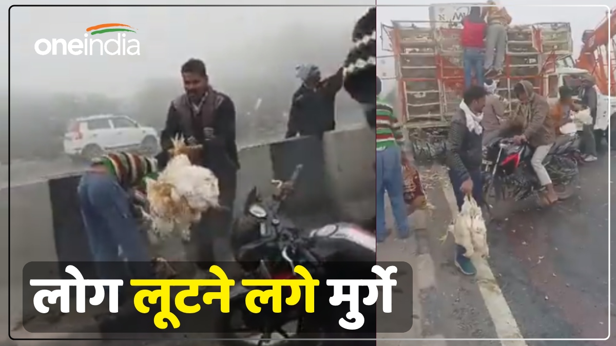 'जो पहुंचा वो मुर्गे लेकर भागा', आगरा में हाईवे पर इसलिए लोग लूटने लगे मुर्गे, देखें Video