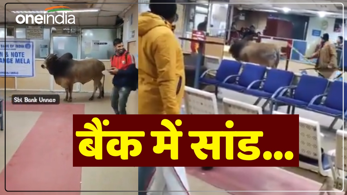 Unnao SBI में सांड के घुसने का Video Viral, लोगों ने किए ऐसे कमेंट्स, हंस-हंसकर लोटपोट हो जाएंगे आप