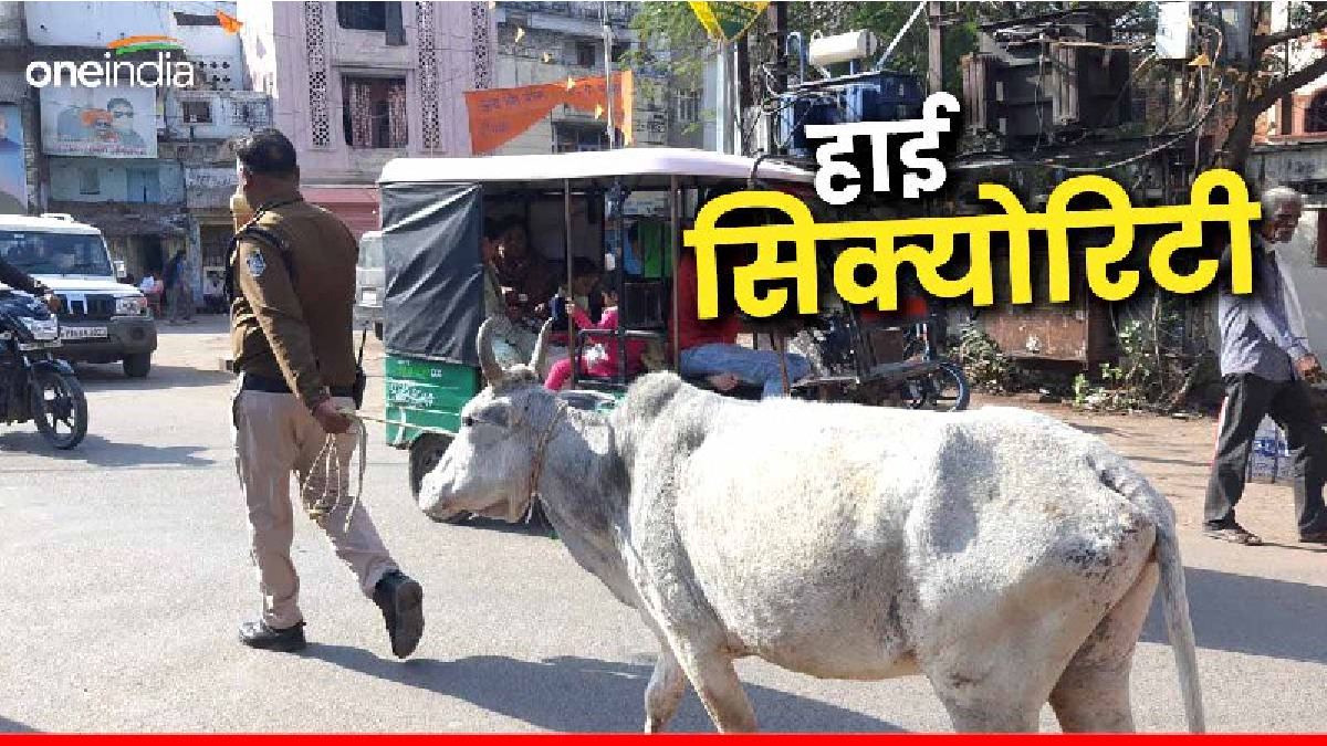 MP News: हाई सिक्योरिटी के बीच थाने पहुंची गाय, पुलिस की ऐसी सुरक्षा देख लोग हुए हैरान