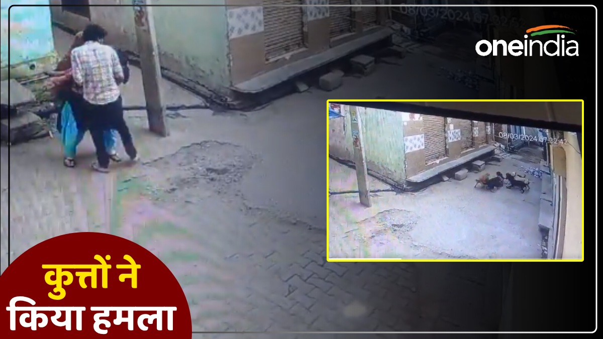 Amroha News: आवारा कुत्तों के झुंड ने मासूम बच्ची पर किया हमला, पहले भौंकते हुए दौड़ाया फिर गिरते ही लगे नोचने