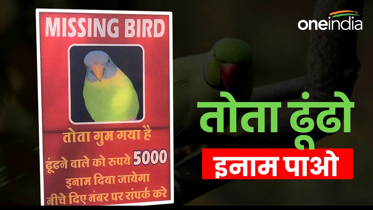 Indore में लगे पोस्टर, 'पालतू तोता ढूंढकर लाओ, 5 हजार का इनाम पाओ'