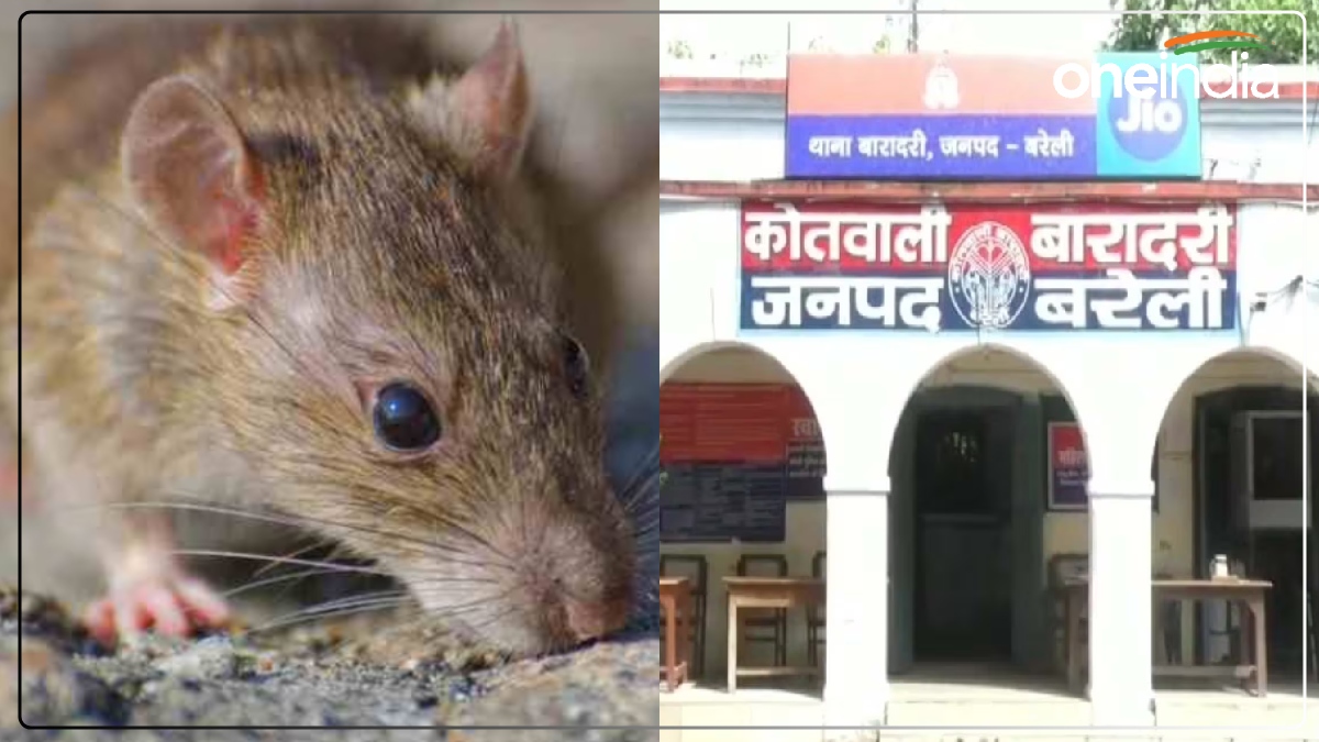 UP News: चूहे के कारण अस्पताल पहुंची महिला, कई महिलाएं Kitchen में करती हैं ऐसी गलतियां, आप भी रहें सावधान!