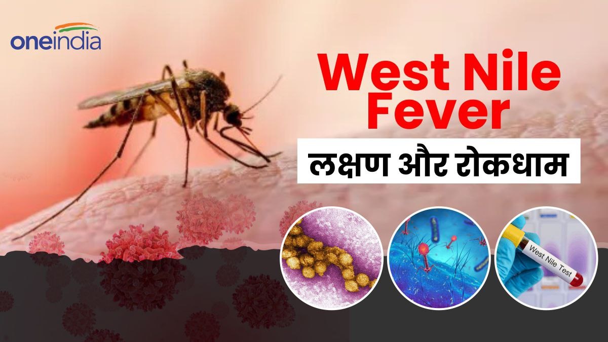 West Nile Fever: आखिर क्या है यह संक्रमण, कैसे फैलता है, क्या हैं इसके लक्षण