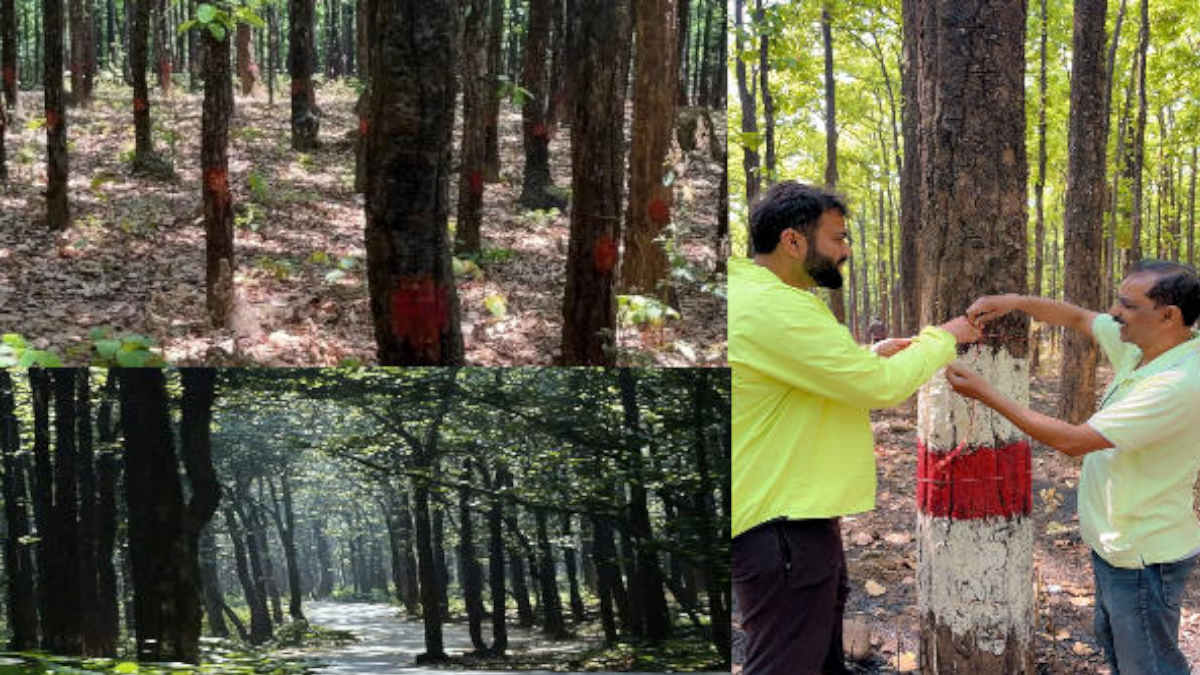 Dehradun news:  पानी के लिए नहीं कटेंगे अब 2 हजार हरे भरे पेड़,लोगों के भारी विरोध से ऐसे बचा खलंगा रिजर्व