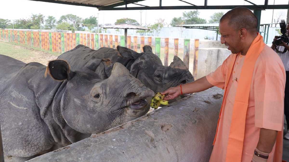 तेरह दिन में दूसरी बार गोरखपुर  चिड़ियाघर पहुंचे CM Yogi, पौध रोपण कर दिया पर्यावरण संरक्षण का संदेश