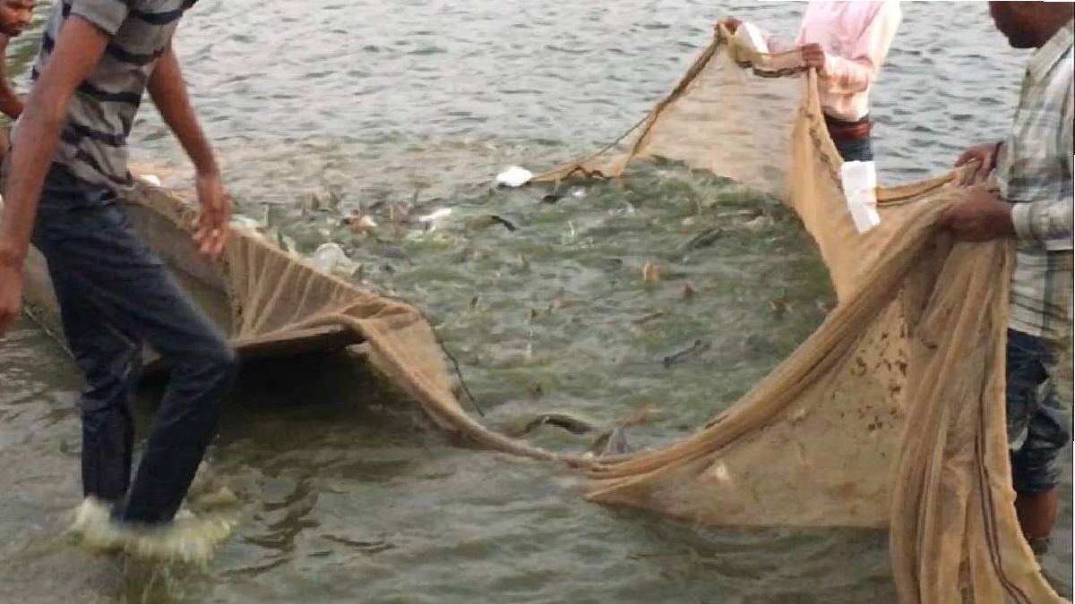 MP News: इस शहर में मछली पकड़ने पर बैन, कारण जान सभी चौंके