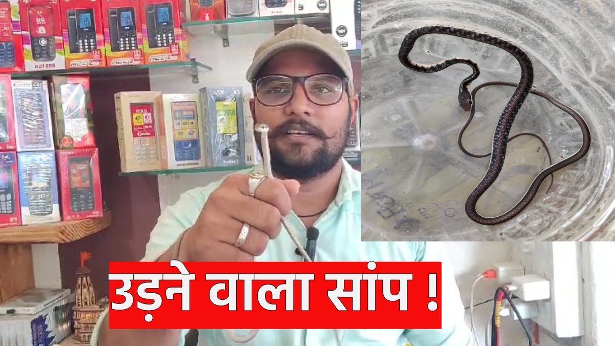 Rajasthan News: राजस्थान कहां से आया उड़ने वाला सांप,डीएफओ हरीकिशन सारस्वत ने बताई सच्चाई !
