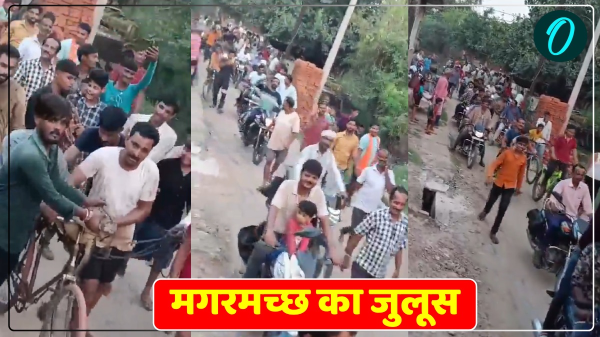 मगरमच्छ का जुलूस: गांव में दिखा मगरमच्छ, ग्रामीणों ने पकड़ा, साइकिल के कैरियर में बांधकर पूरे गांव में घुमाया