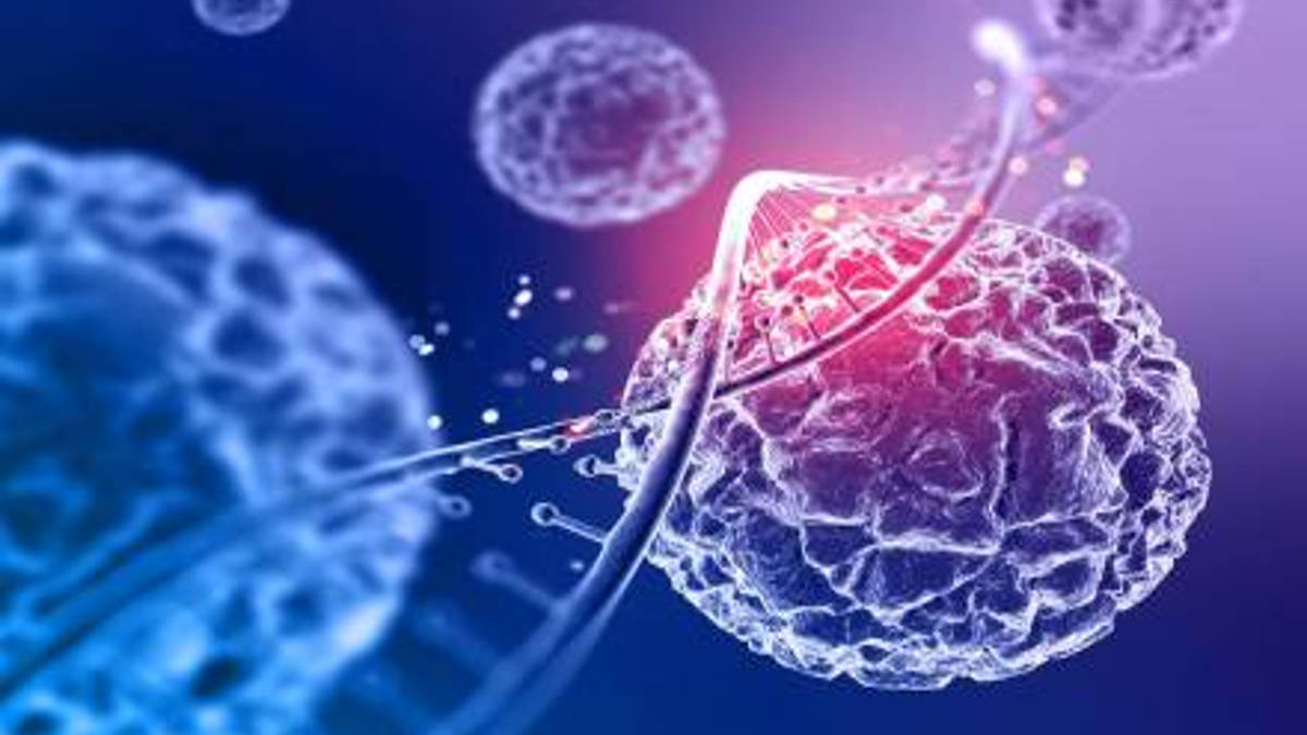 भारत में Cancer के मामलों में वृद्धि, मुंह और स्तन कैंसर के केस सबसे अधिक, रिपोर्ट में बड़ा दावा