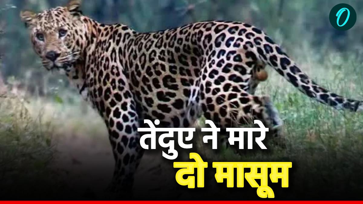 उत्तराखंड में एक ही दिन में तेंदुओं के हमलों में दो मासूमों की मौत, आंगन से उठाया और मार डाला