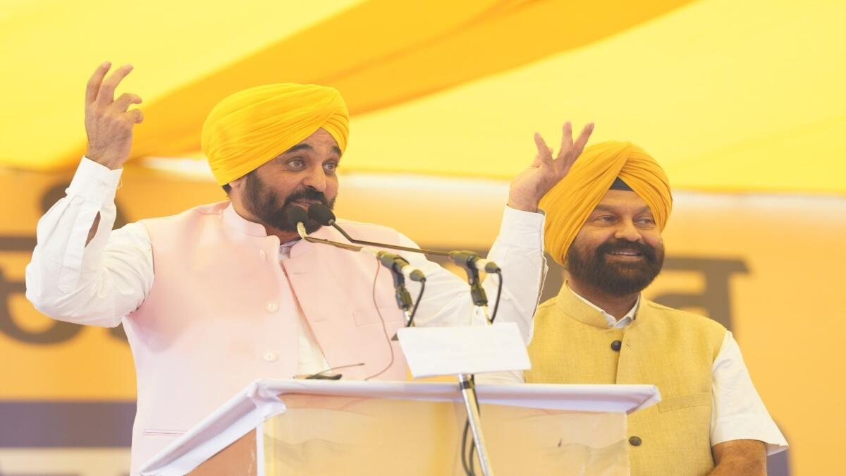 पंजाब में धान की पैदावार 1.4 क्विंटल प्रति हेक्टेयर बढ़ी, मंत्री गुरमीत सिंह खुड्डियां ने दी जानकारी