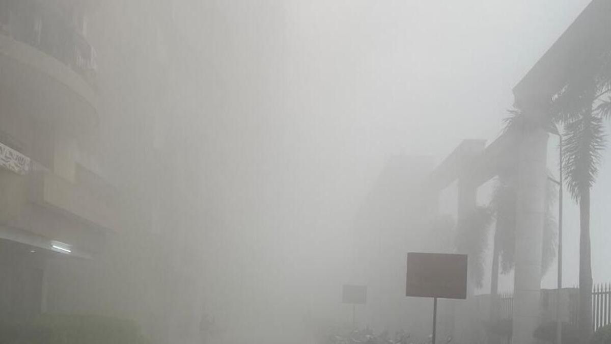 Smog का कहर: नोएडा में कम दृश्यता के कारण वाहनों की भिड़ंत, दो बाइक सवारों की मौत, दर्जनों घायल
