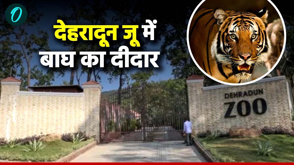 देहरादून जू में होगा बाघ का दीदार, बेडे में रखे गए हैं दो बाघ, पर्यटकों के लिए टाइगर बाढ़े का शुभारंभ