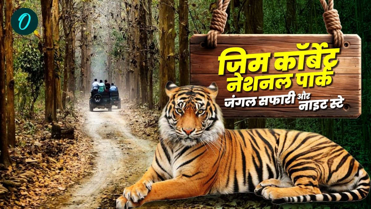 जिम कॉर्बेट नेशनल पार्क में जंगल सफारी और नाइट स्टे के लिए हो जाएं तैयार,खुल रहा ढिकाला जोन,कैसे करें बुक