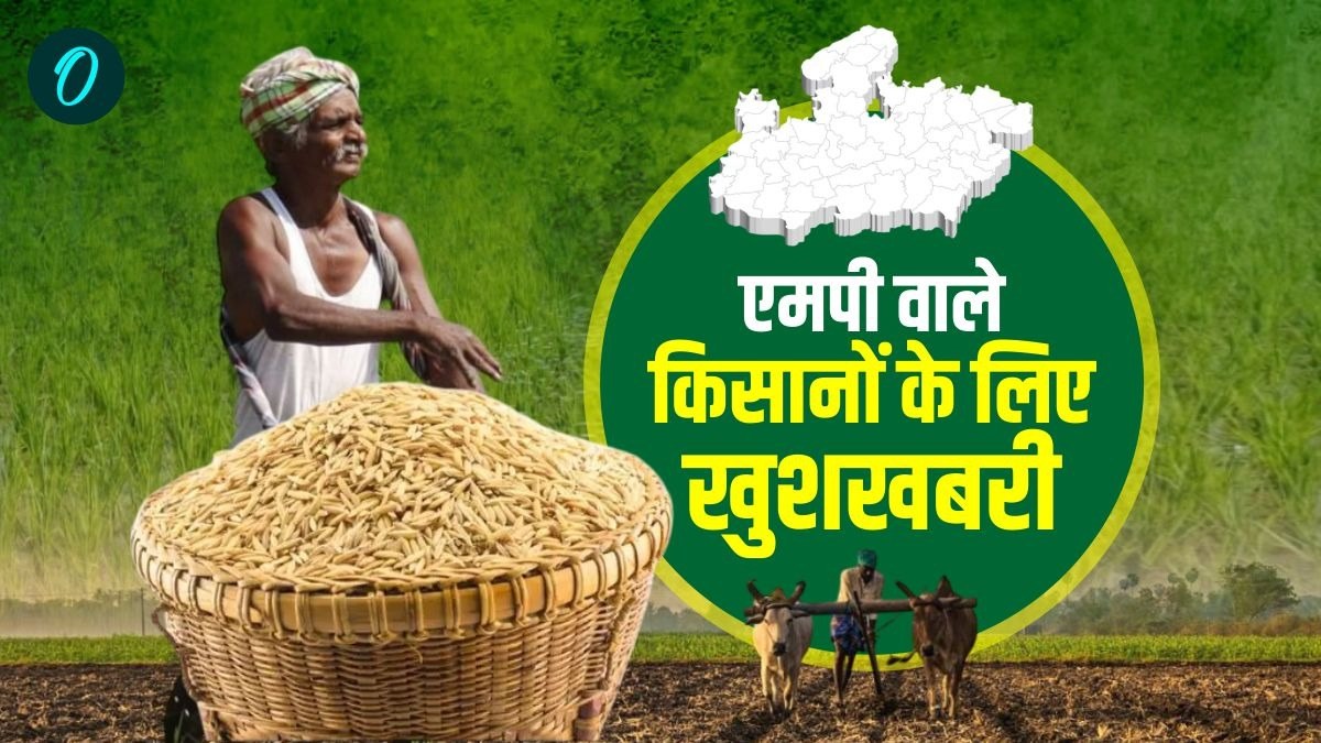 MP News: एमपी में 2 दिसंबर से शुरू होगी धान की खरीद, किसानों को करना होगा स्लॉट बुकिंग, जानें प्रोसेस