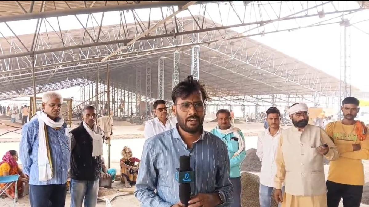 Satna News: धान के साथ खेल! इस तारीख से खरीद का ऐलान, फिर भी MSP को लेकर क्यों परेशान हैं सतना के किसान?