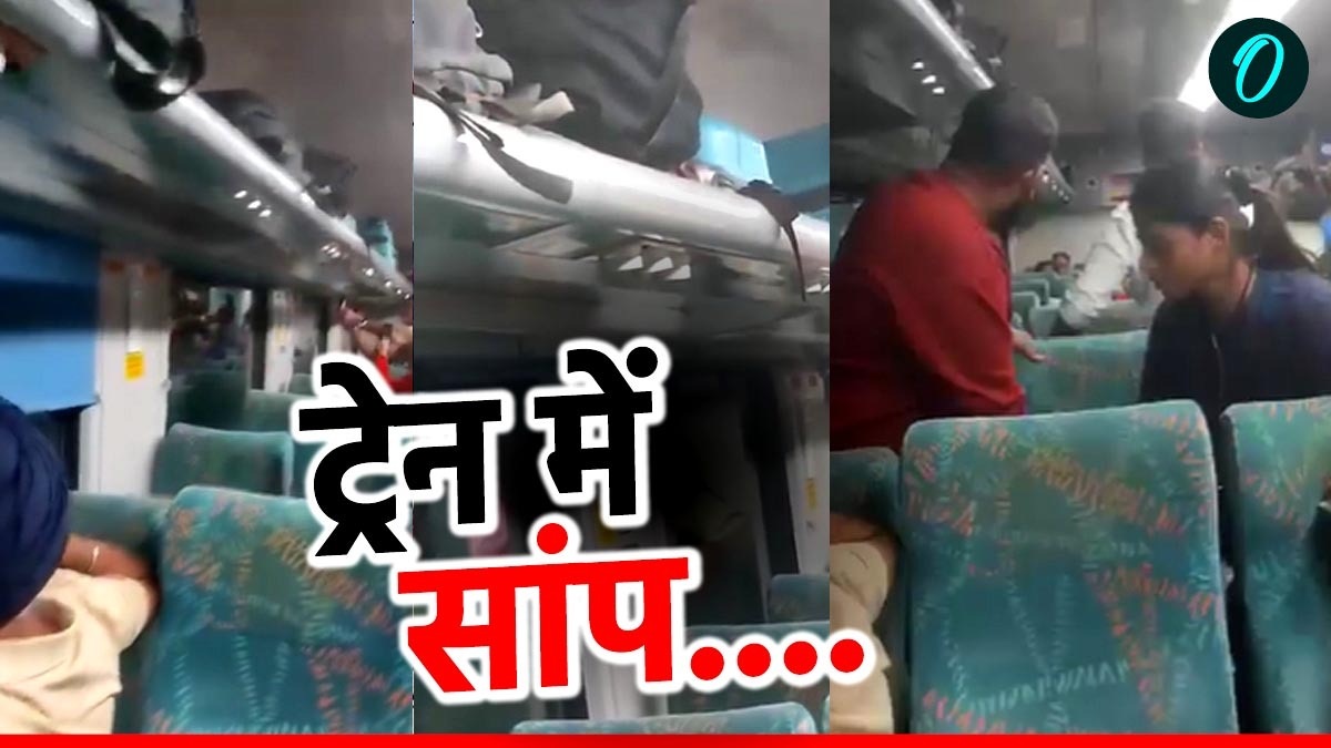 जनशताब्दी एक्सप्रेस ट्रेन में घुसा 'जहरीला सांप', अटैक मोड में आया तो यात्रियों ने खाली कर दी बोगी, Video