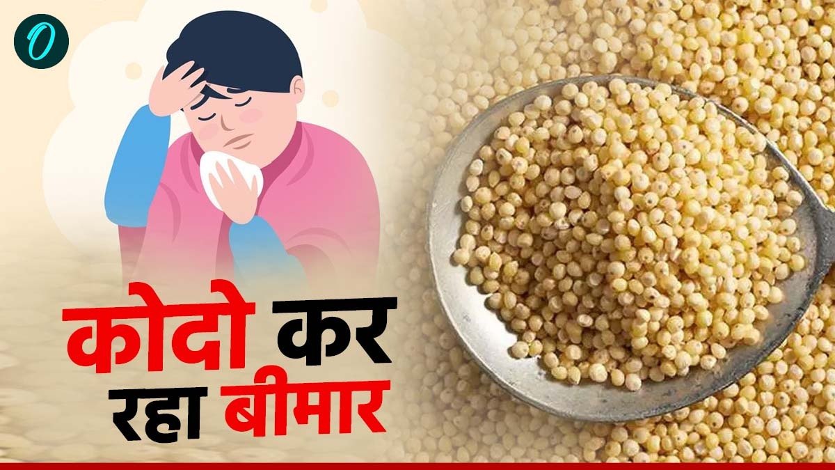 MP News: हाथियों की मौत से जुड़े जहरीले कोदो बाजरा खाने से मैहर का एक परिवार बीमार पड़ गया