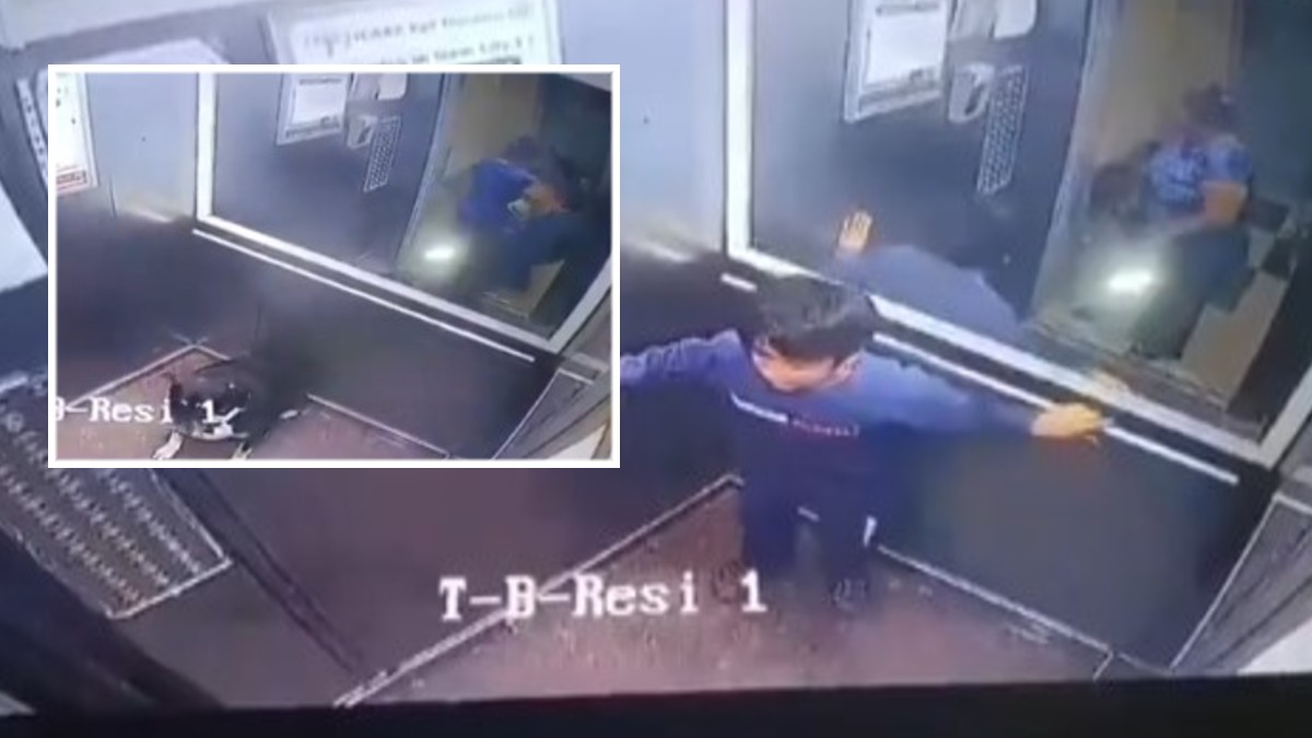 Greater Noida Lift Video: लिफ्ट में कुत्ते से डरा मासूम महिला से करता रहा मिन्नत, थप्पड़ों से मारा, बाहर धकेला