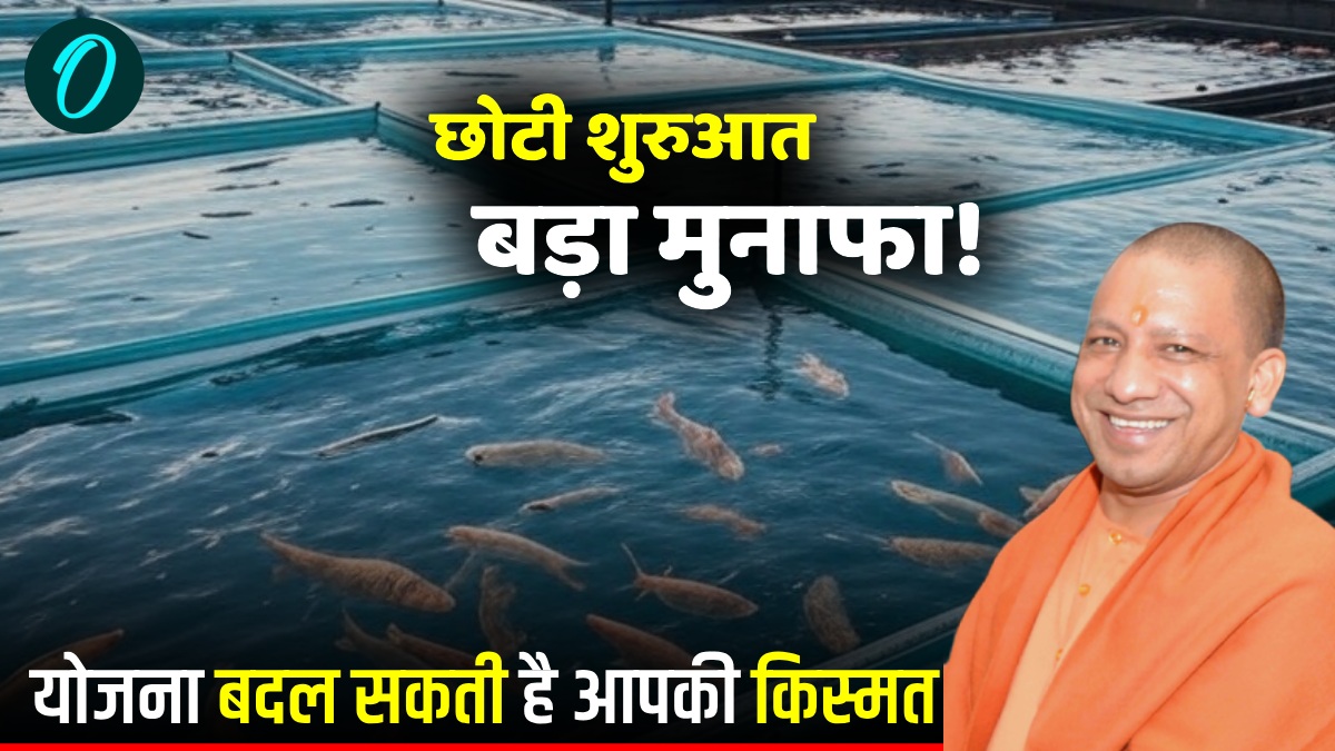 Fish Farming Yojana: छोटी शुरुआत, बड़ा मुनाफा! यह योजना बदल सकती है आपकी किस्मत, 15 फरवरी तक आवेदन का मौका