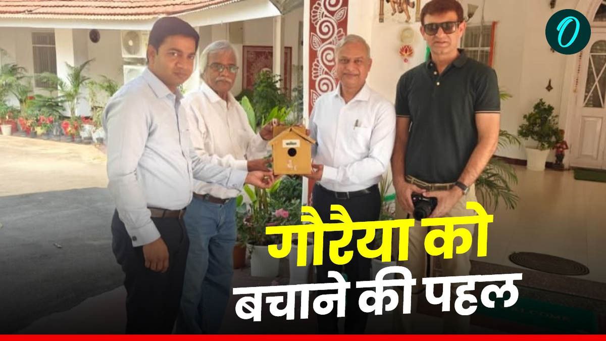 Indore News: गौरैया को बचाने का अभियान, कहां मिलेंगे बक्से, जिसमें मिलेगा सुरक्षित स्थान, जानिए