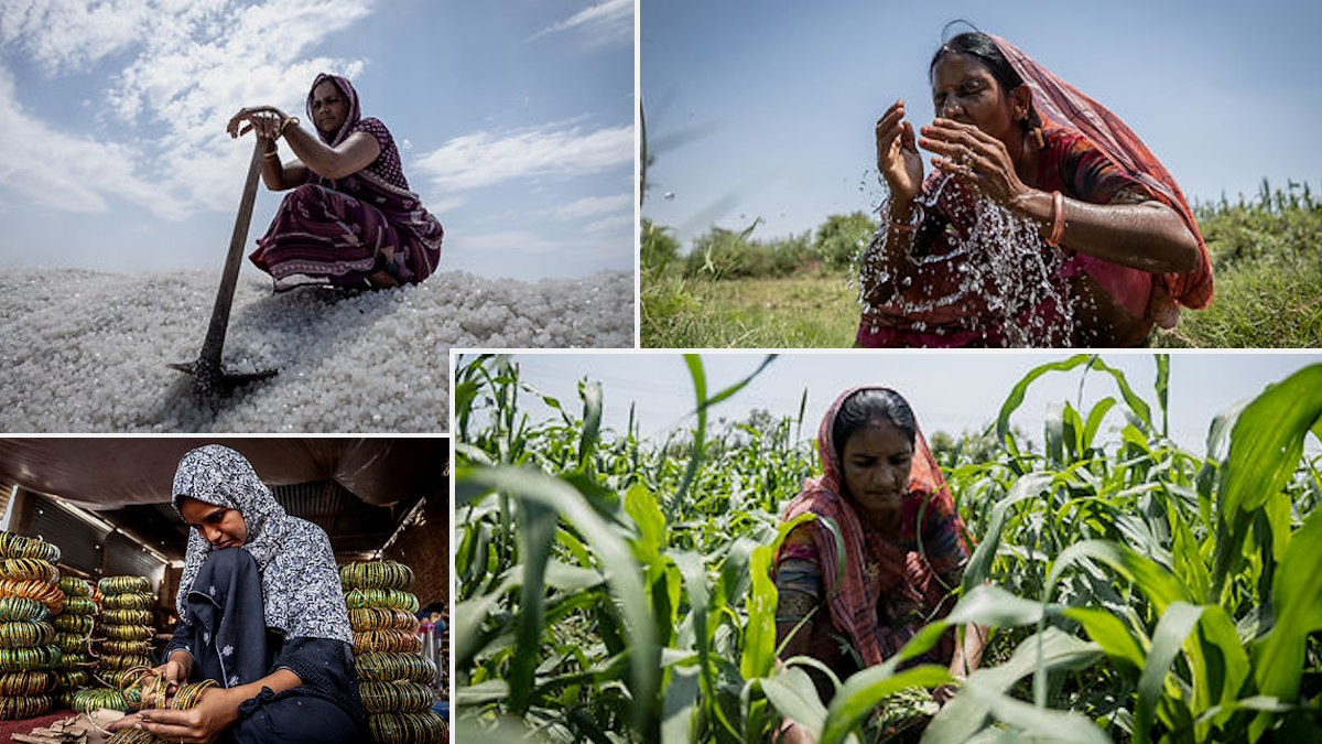 Heatwave Insurance: क्‍या है हीटवेव इंश्‍योरेंस, जिसमें तापमान 40 पार जाने पर मिलते 1600 रुपए, कौन हैं पात्र?