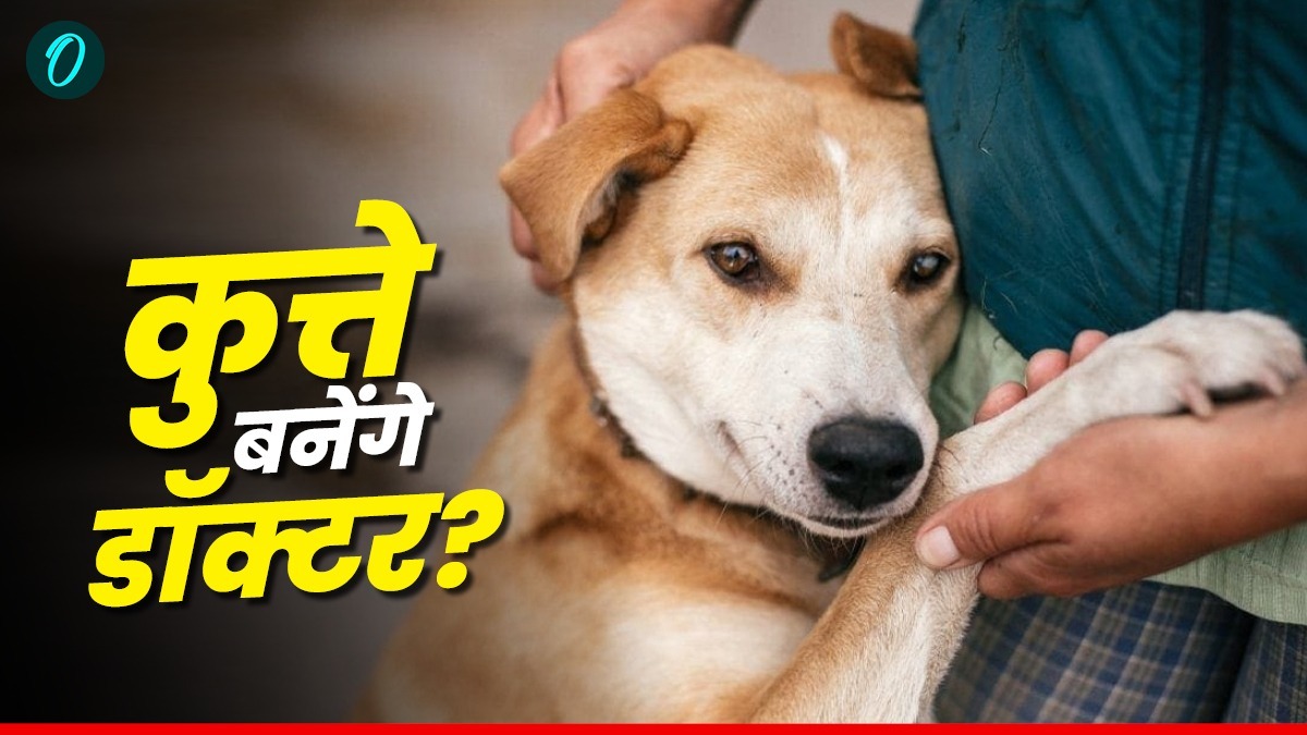 डॉक्टर नहीं अब 'कुत्ता' लगाएगा इस बीमारी का पता, वैज्ञानिकों की चौंकाने वाली खोज
