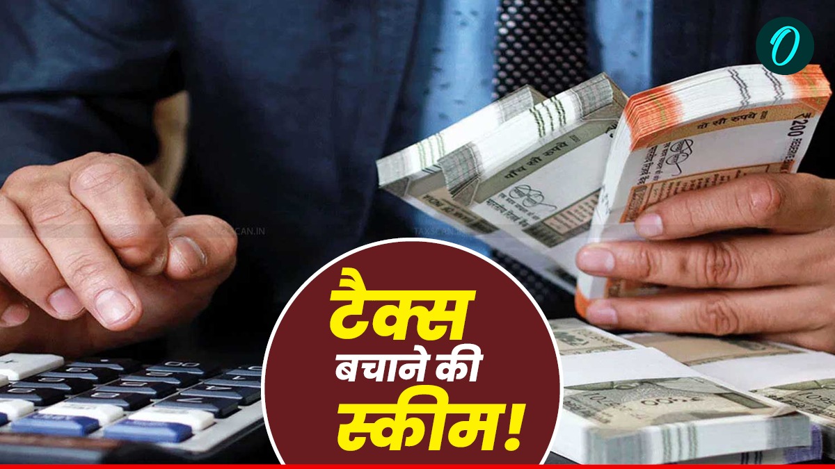 Tax Friendly Countries: कम टैक्स, ज्यादा फायदा: यहां की नागरिकता बचा सकती है आपका ढेर सारा पैसा