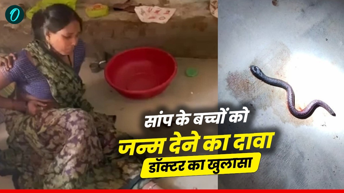 MP News: सांप के बच्चों को जन्म देने का दावा, रिंकी अहिरवार की कहानी और डॉक्टरों का खुलासा!
