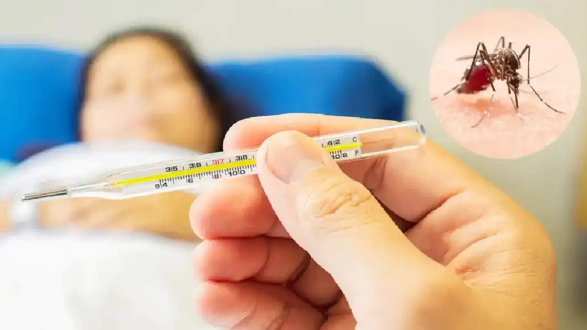 डेंगू से बचने के लिए घर पर करें ये 5 असरदार उपाय, खुद को और परिवार को रखें स्वस्थ